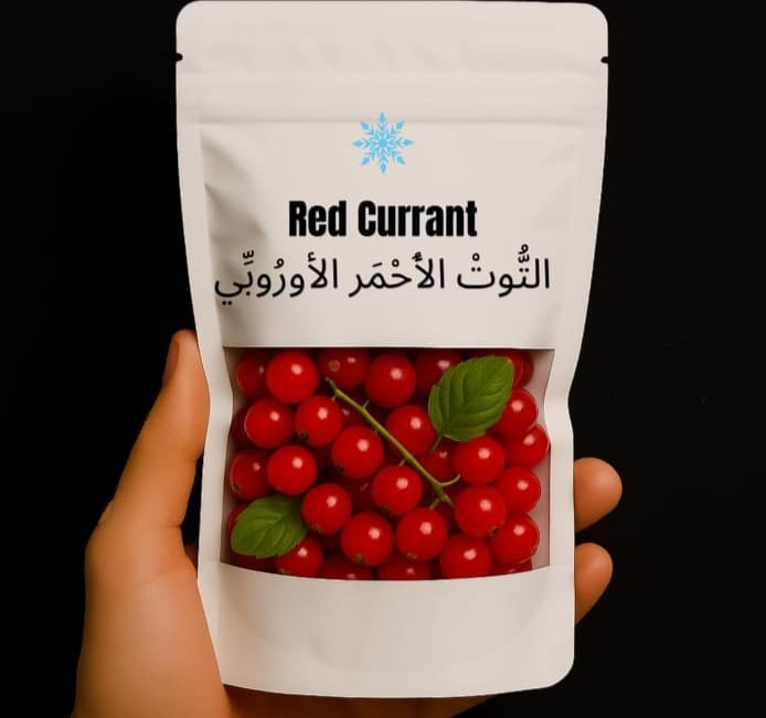 Product 13